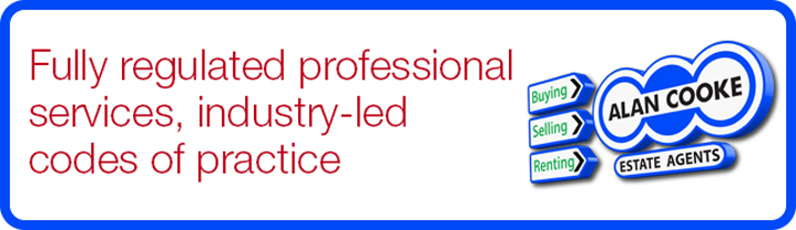 Fully regulated professional services, industry-led codes of practice